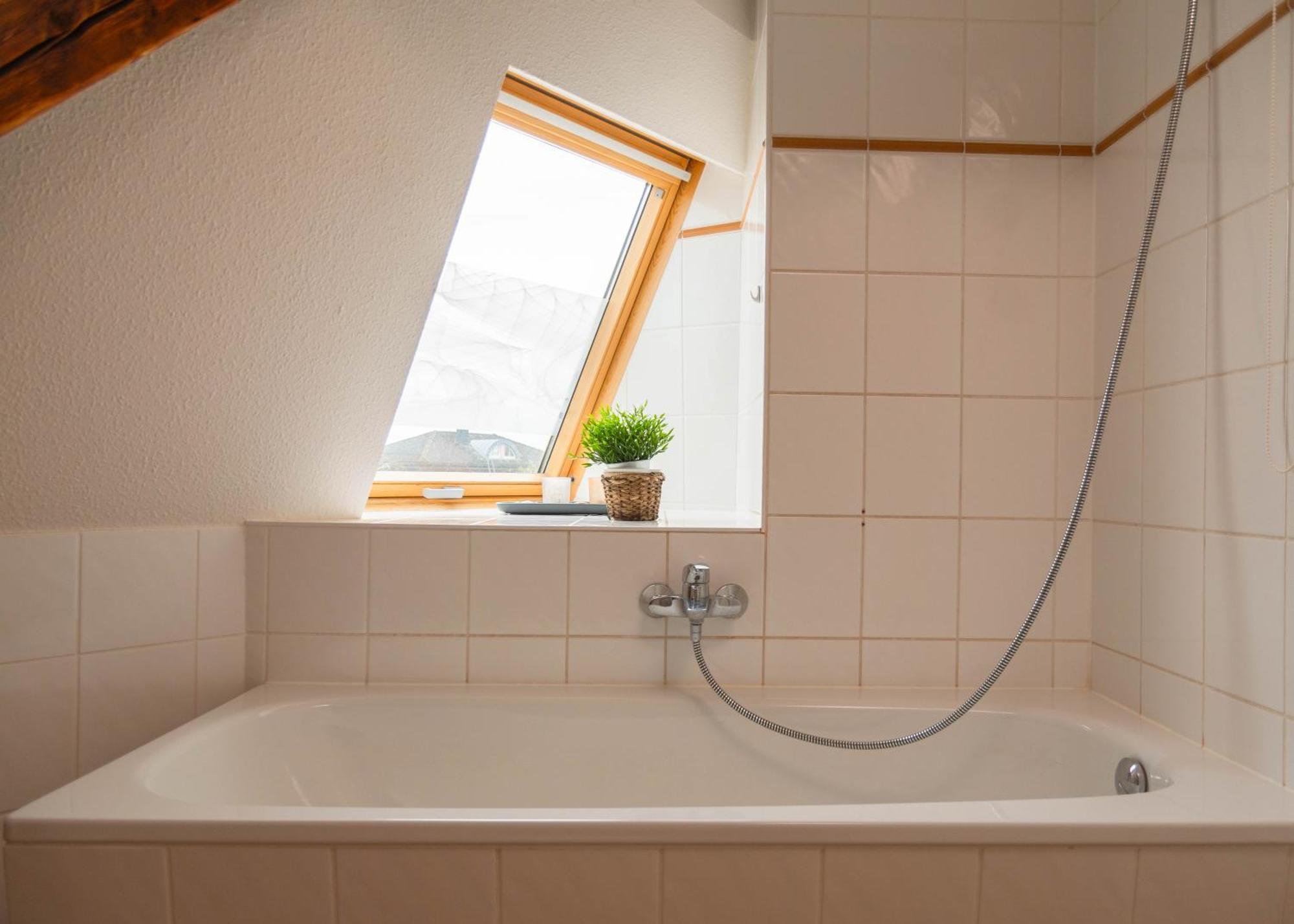 Apartmenthaus Rankestrasse 4 Drezno Zewnętrze zdjęcie