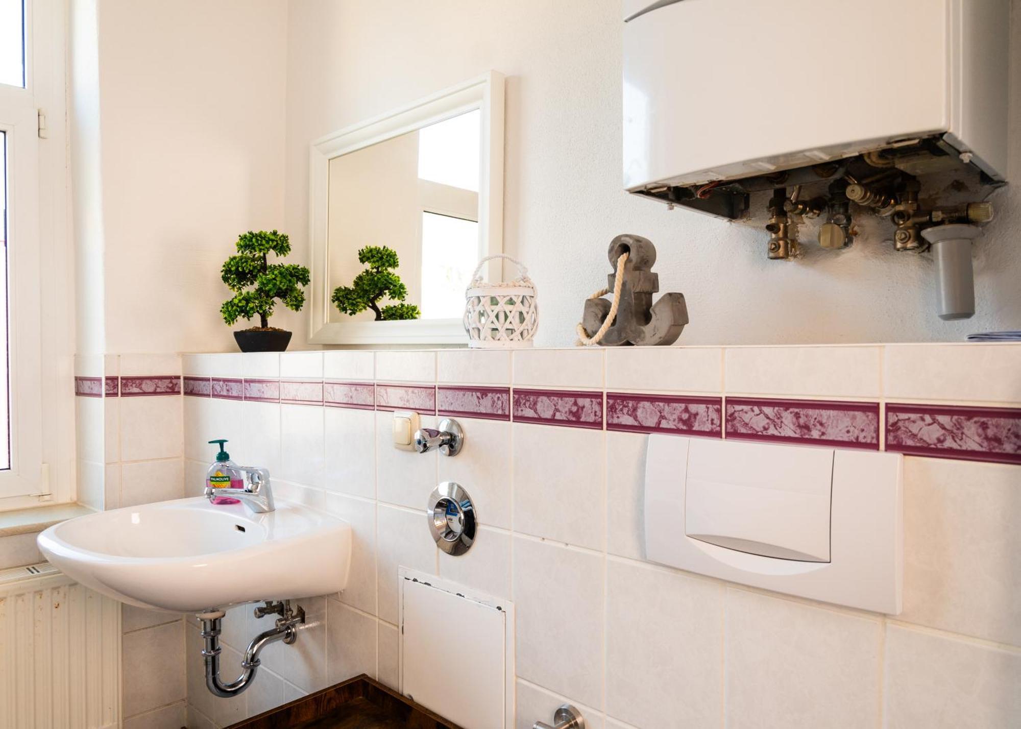 Apartmenthaus Rankestrasse 4 Drezno Zewnętrze zdjęcie